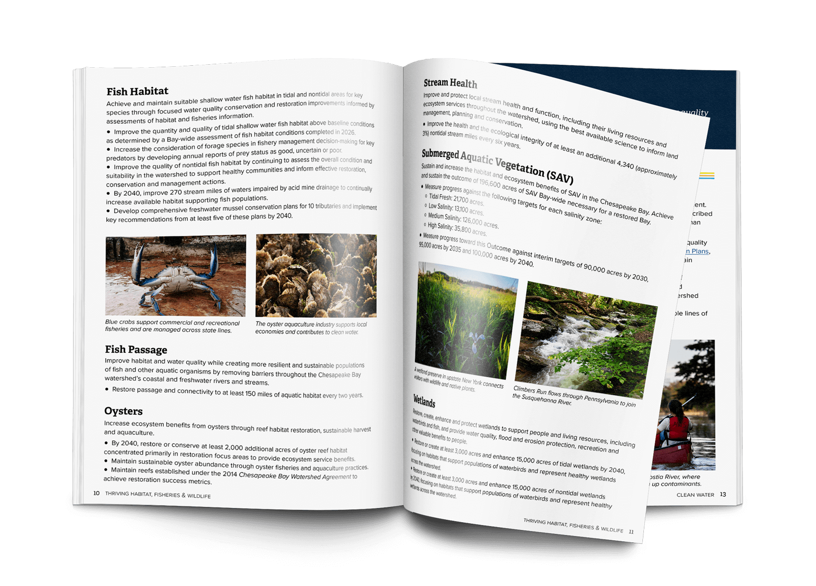 Interior spread showing chapter opener, imagery, and hierarchy