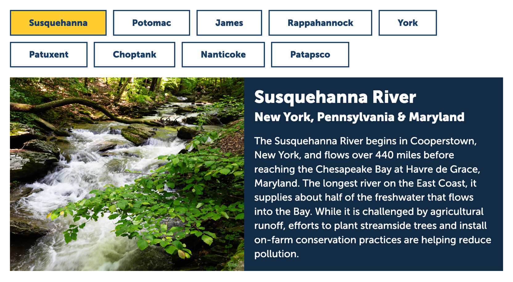 River Component
